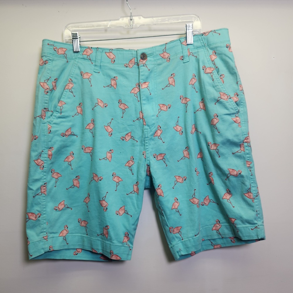 Plugg Flex Men's Mint Green Flamingo Chino Shorts Sz 36 Flat Front 9.5" Inseam
